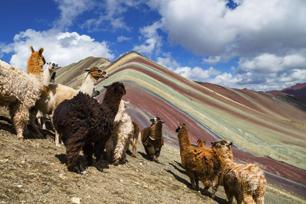 https://machupicchuperuworld.com